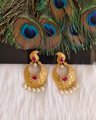 Mango Shape Matte Finish Earrings T2869