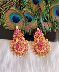 Matte Finish Ruby Stone Earrings T2870