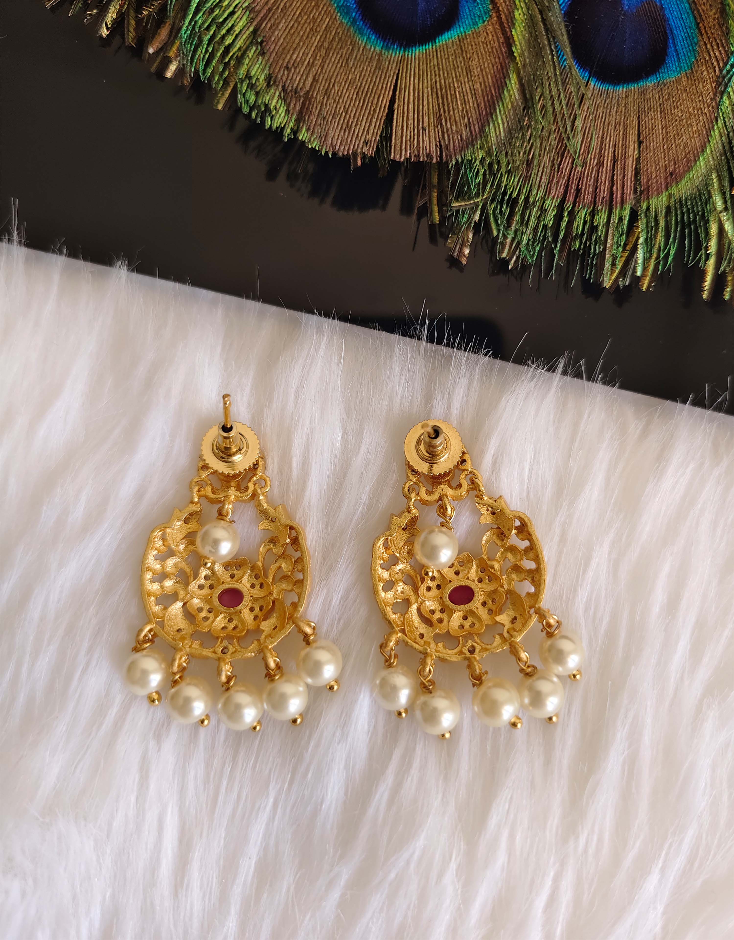 Matte Finish Stone Earrings T2872