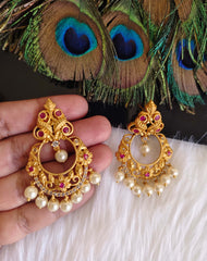 Matte Finish Stone Earrings T2874