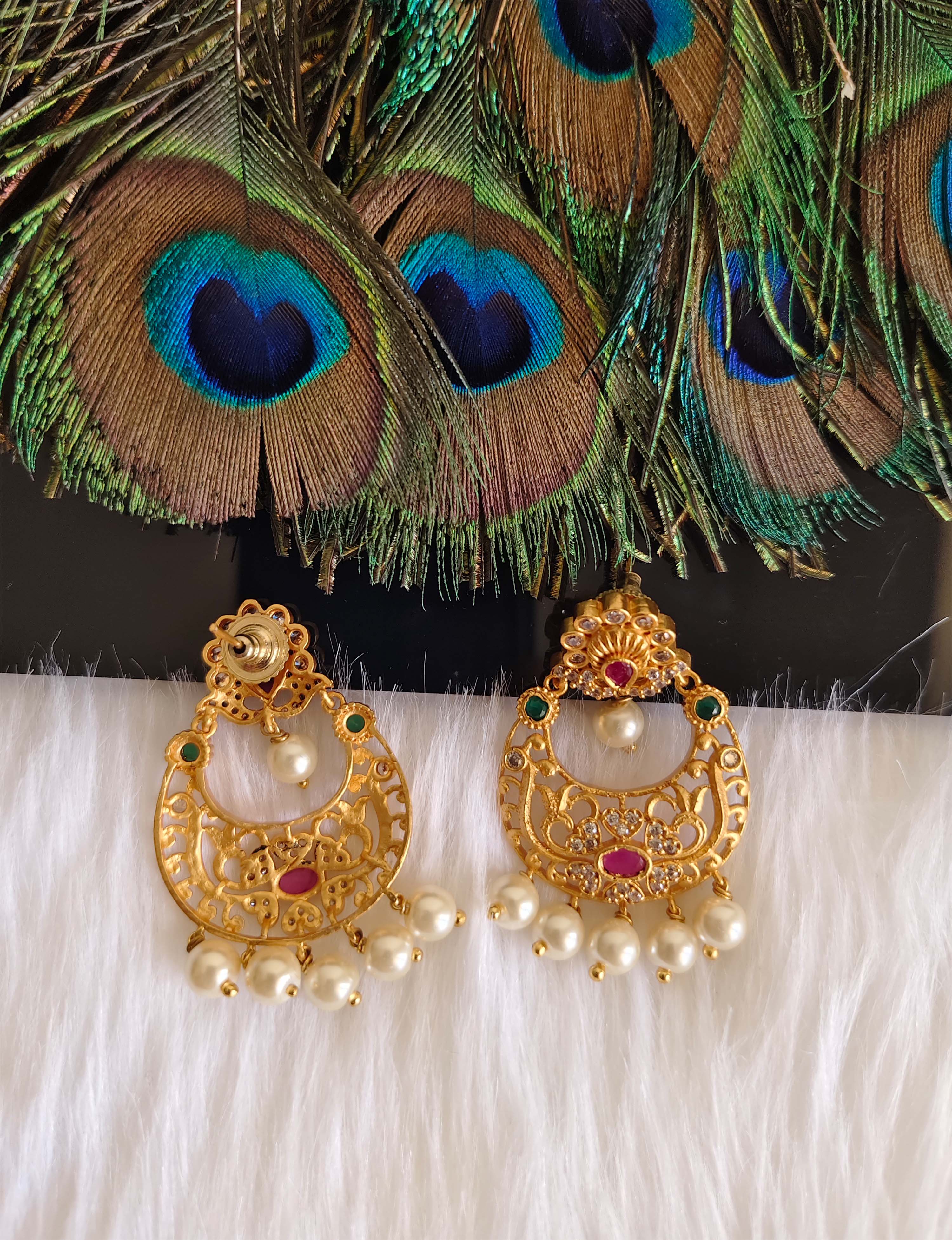 Matte Finish Stylish Stone Earrings T2876