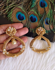 Matte Finish Earrings T2877