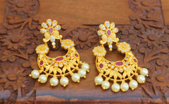 Stylish Matte Finish Earrings T2498