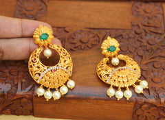 Matte Finish Peacock Earrings T2770