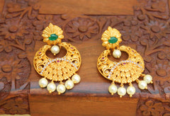 Matte Finish Peacock Earrings T2770