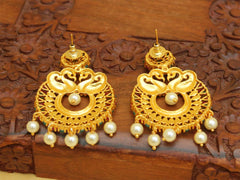 Matte Finish Peacock Multi Color Stone Earrings T2484