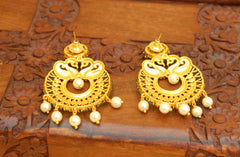 Matte Finish Peacock Green Stone Earrings T2485