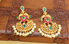 Elegant Peacock Matte Finish Peacock Earrings T2777