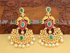 Elegant Peacock Matte Finish Peacock Earrings T2777