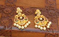 Stylish Matte Finish Peacock Earrings T2779