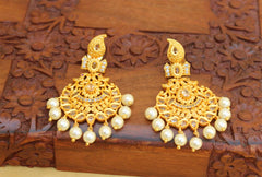 Mango Shape Peacock Matte Finish Earrings T2758