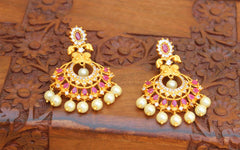 Matte Finish Stylish Earrings T2766