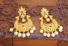 Stylish Matte Finish Pearl Earrings T2503